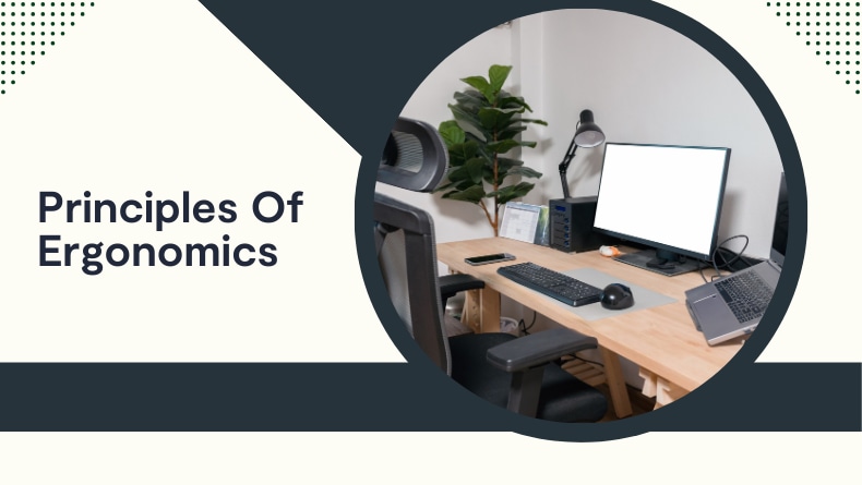 Ergonomics 101: What Are The 7 Main Principles Of Good Ergonomics ...
